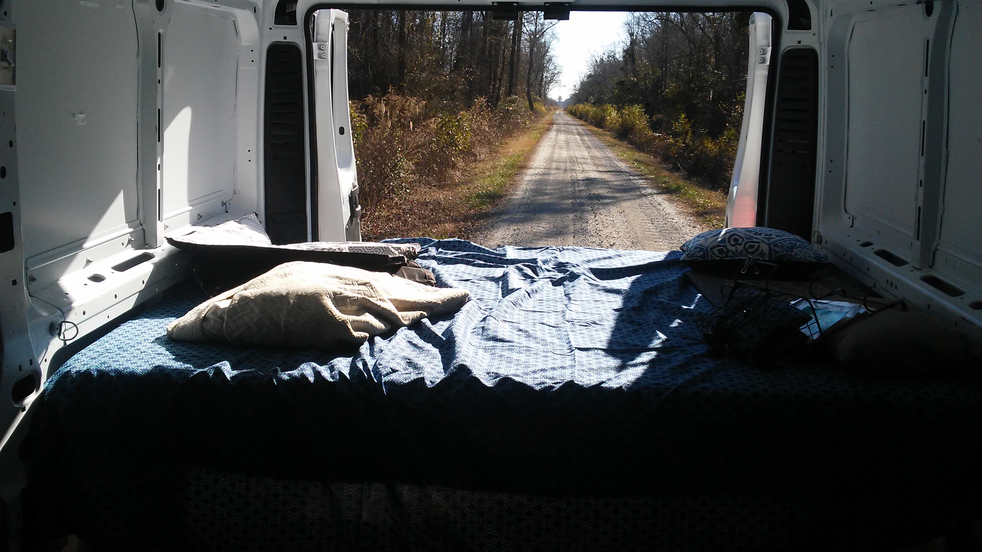 Dismal swamp with a view
