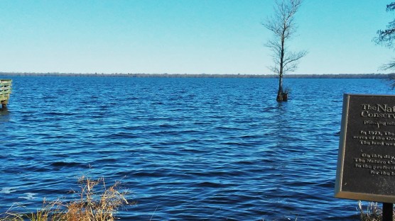 20171221_124820 Lake Drummond