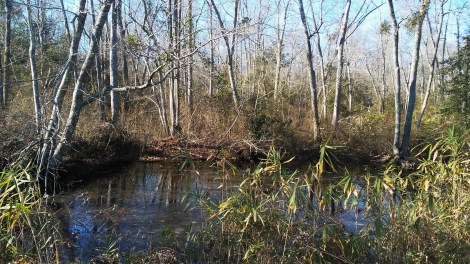 20171221_131233 Green again