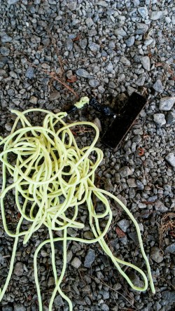 Magnet fishing setup