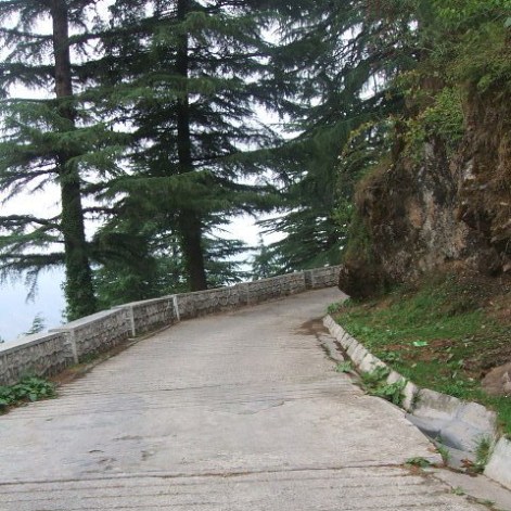 Backroad towards the apartment in Landour MussorrieIndia