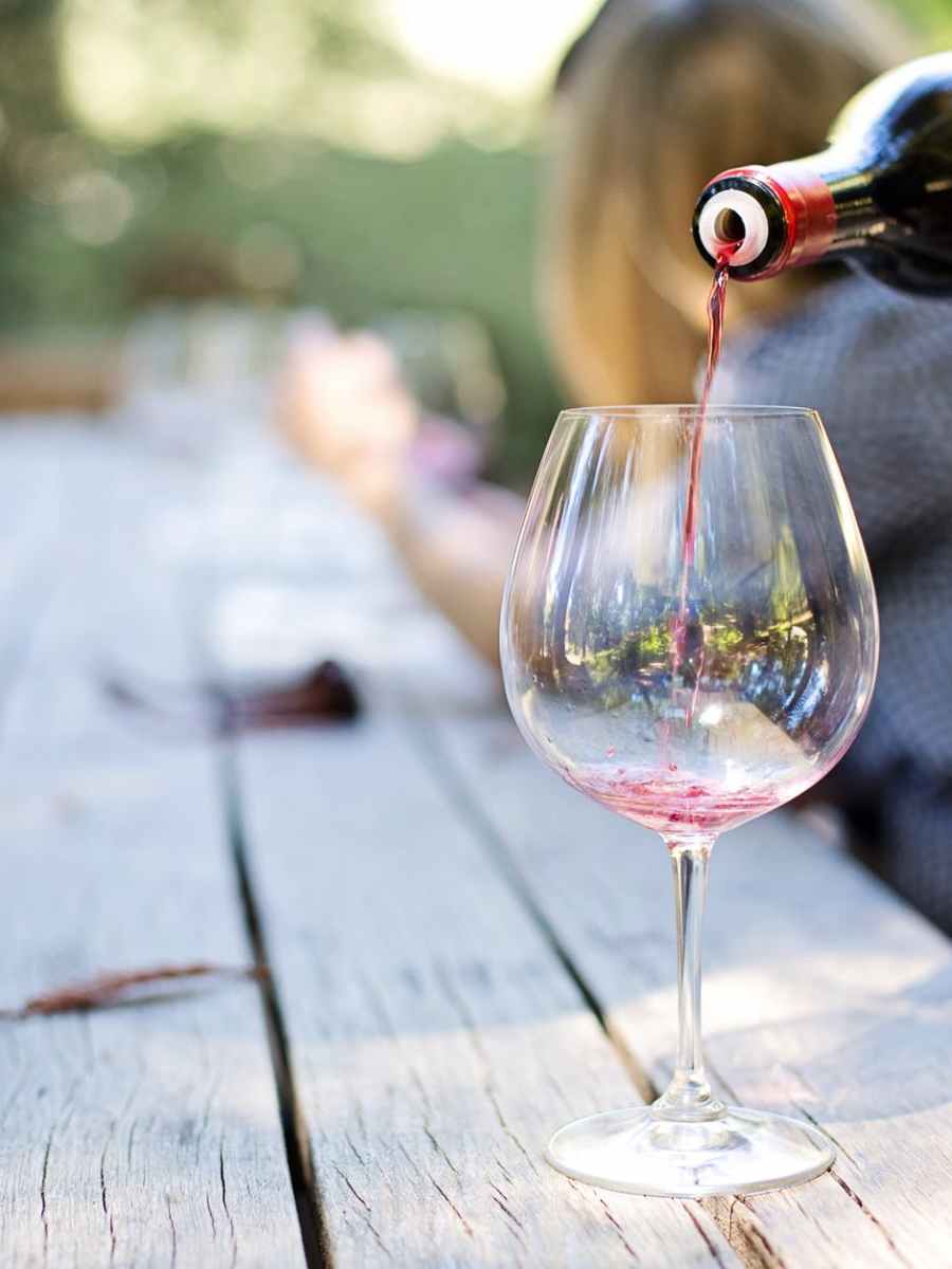 Camping With Wine and&nbsp;Cows