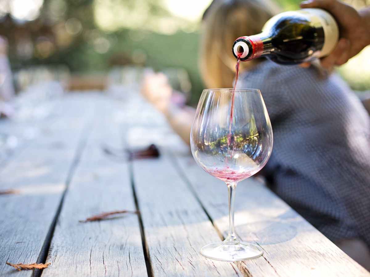 Camping With Wine and&nbsp;Cows